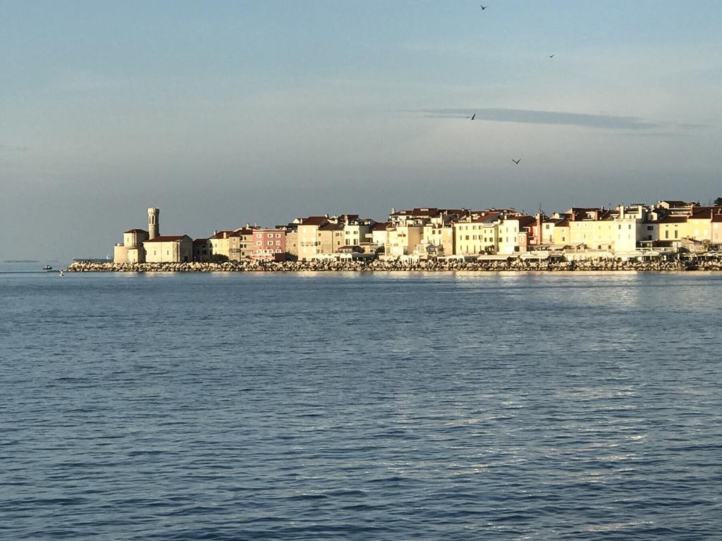 Allure Apartments Piran Exteriör bild